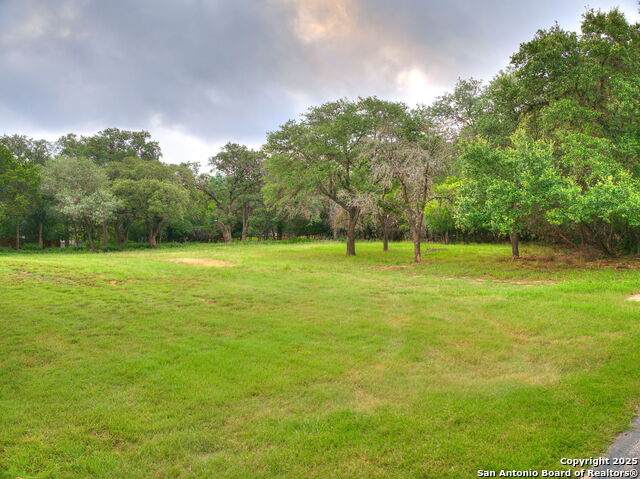 16602 Springhill - Photo 1