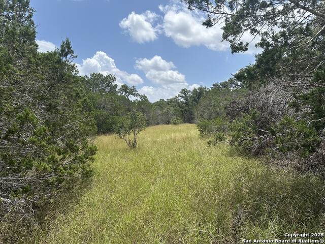 335 Serenity - Photo 1