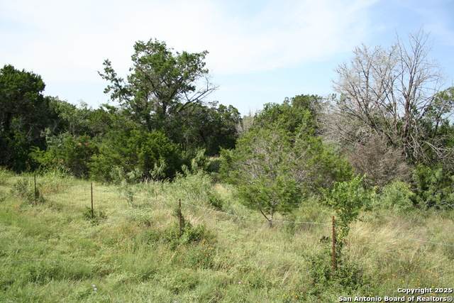 28028 Old Windmill Rd - Photo 1