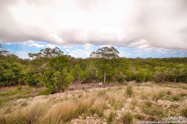 LOT 42 Seven Hills Drive - Photo 1