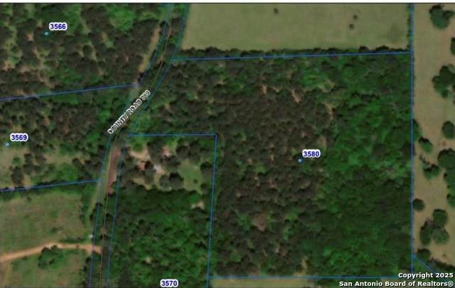 4042 County Road 789 - Photo 1