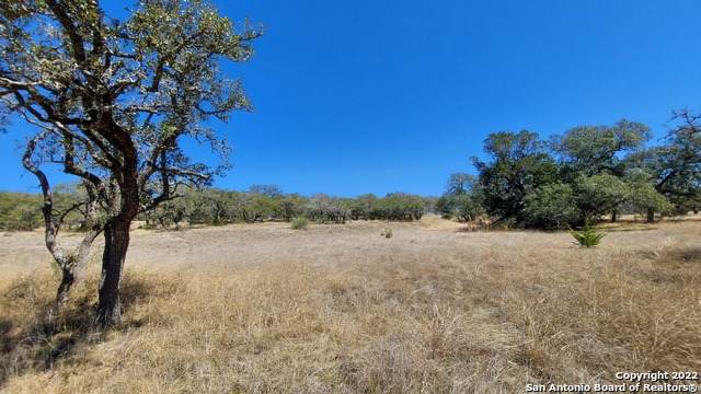 928 Annabelle Ave - Photo 1