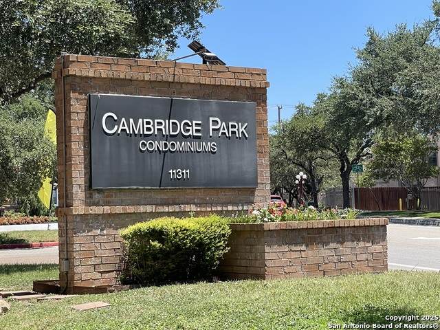 11311 Sir Winston - Photo 1