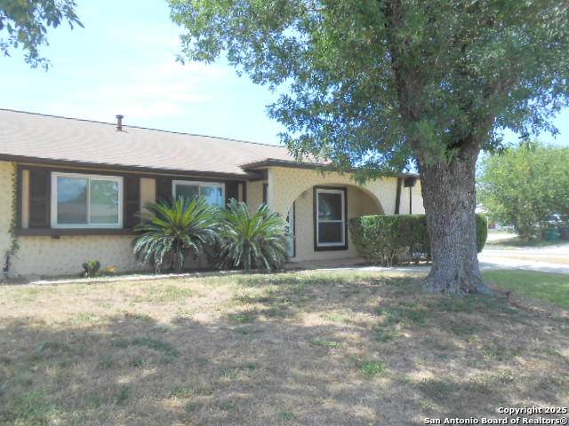 703 Smoke Tree - Photo 1