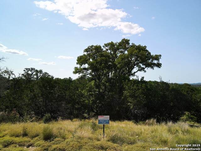 TRACT 116 Winans Creek Ranch - Photo 1