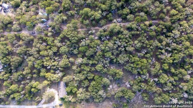 3 ACRES 337 Sandy Oaks - Photo 1