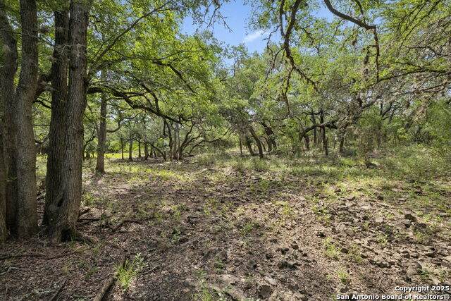 547 County Road 3401 - Photo 1