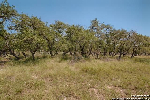 379 Bent Tree - Photo 1