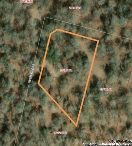 216 Timber Place - Photo 1