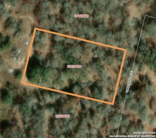 213 Timber Place - Photo 1