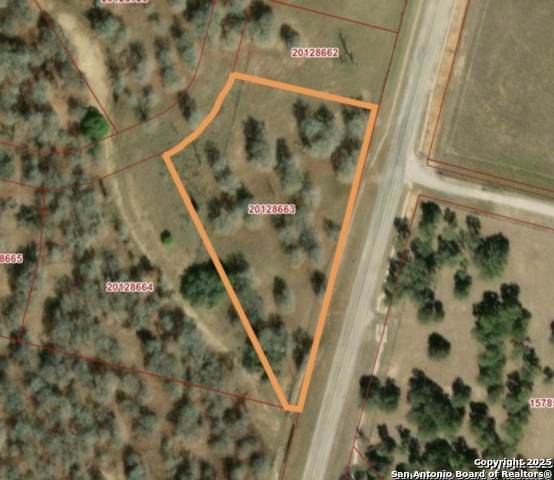 113 Timber Place - Photo 1