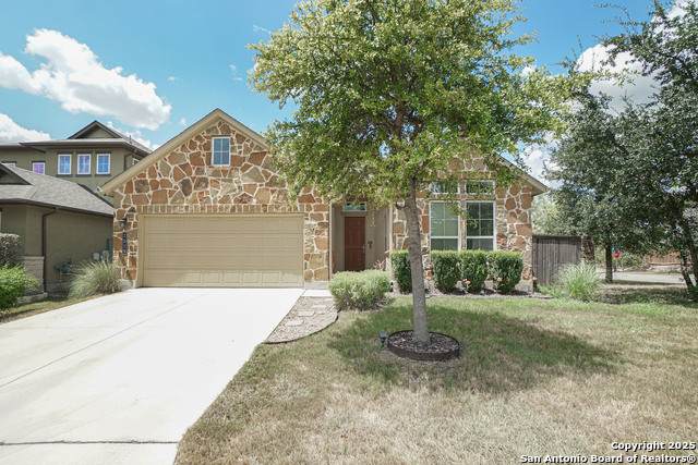 2519 Merritt Vista - Photo 1