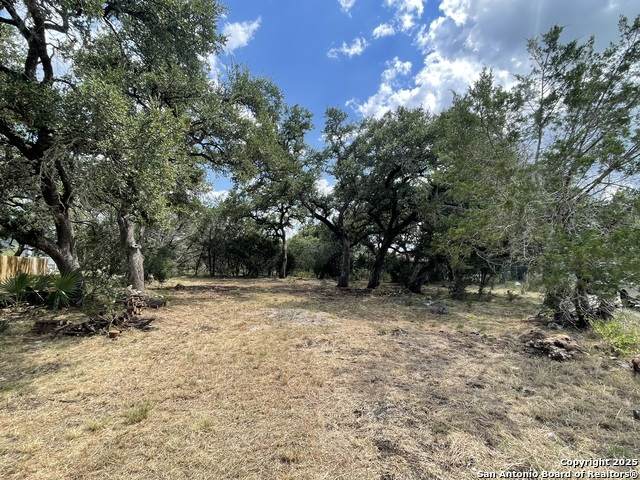 161 Sunnyside - Photo 1