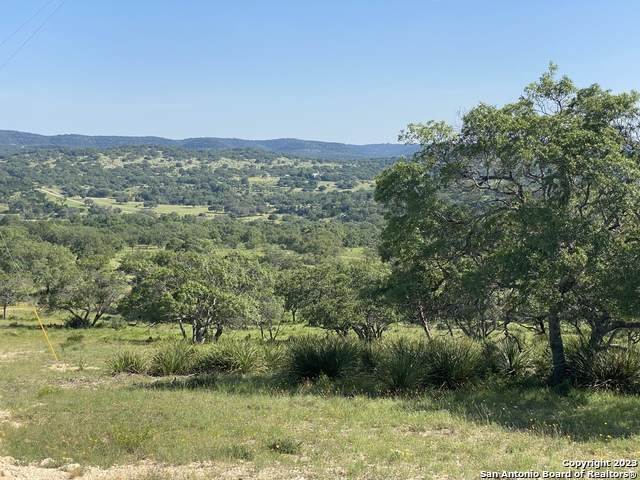 LOT 56 Red Stag Lane - Photo 1