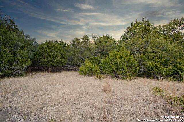 1055 Cielo Springs Dr. - Photo 1