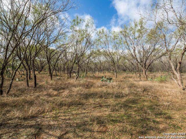 13993 Jarratt Rd - Photo 1