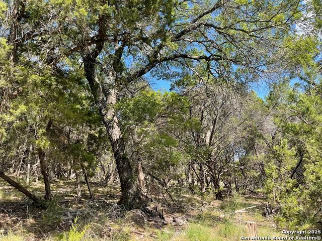 LOTS 1-7 Park Road 37 - Photo 1