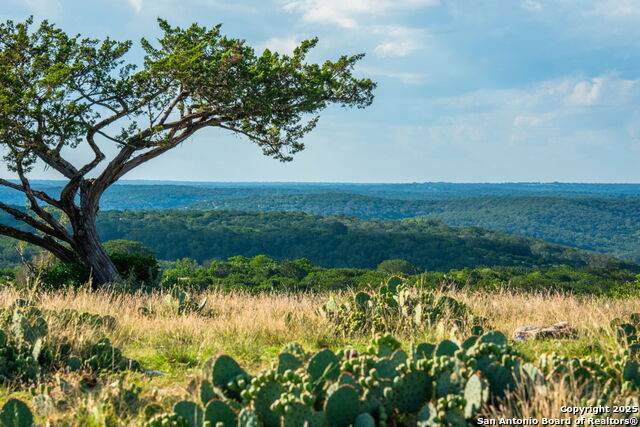 0 Fair Ranch Rd - Photo 1