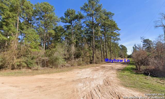LOT 16 Mayhaw Ln - Photo 1