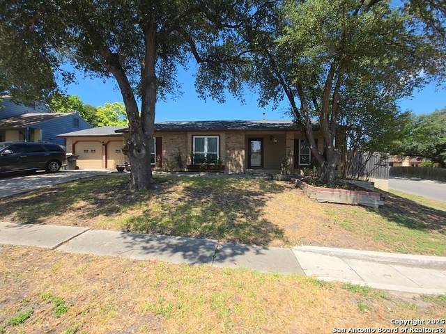 13339 Los Indios - Photo 1