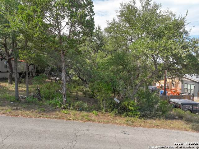 338 Grey Fawn - Photo 1