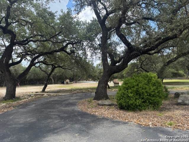 531 Dresden Wood - Photo 1