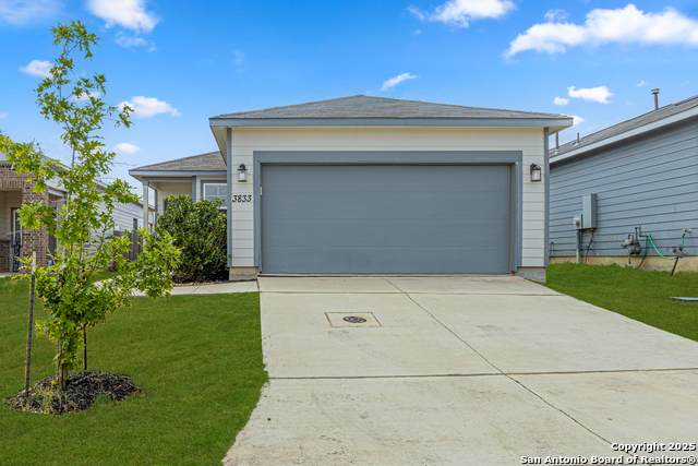 3833 Ivy Path - Photo 1