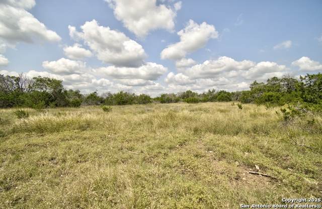 LOT 16 Paloma Ranch Rd - Photo 1