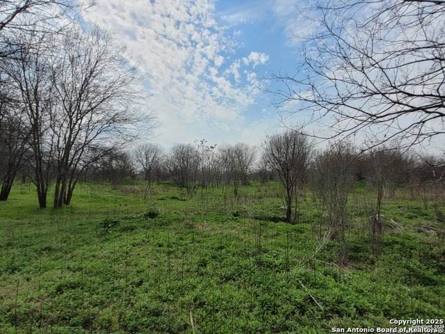 3628 Loop 1604 - Photo 1