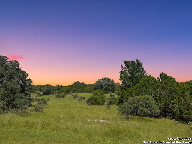 LOT 144 Horseshoe Falls - Photo 1