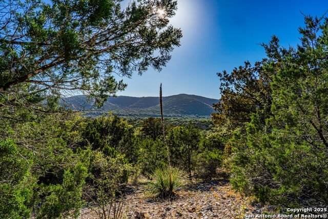 28 Frio Canyon Loop - Photo 1