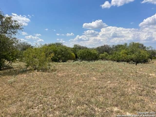 713 County Road 232 - Photo 1