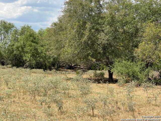 1039 County Road 232 - Photo 1