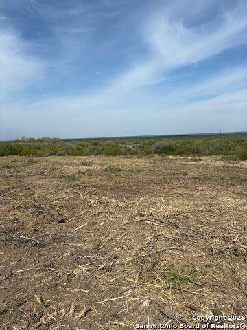 3272 County Road 1515 - Photo 1