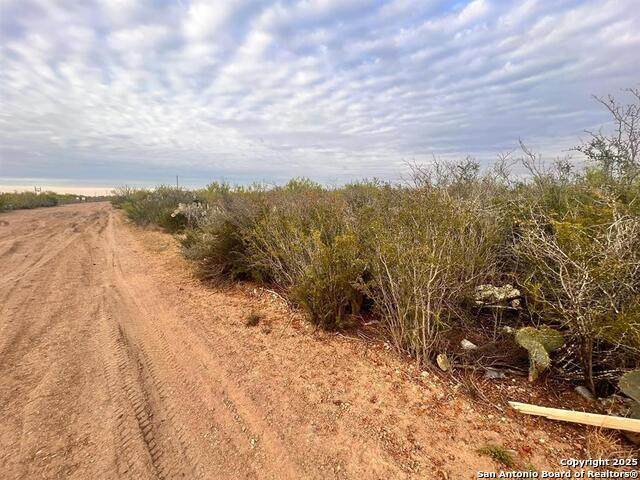 TRACT 17 Las Pilas Rd - Photo 1