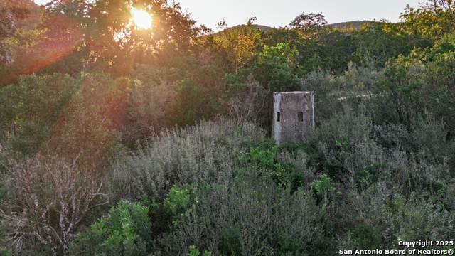 2581 Patterson Creek Road - Photo 1