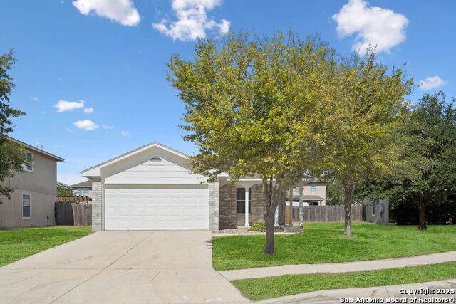 9823 Autumn Pl - Photo 1