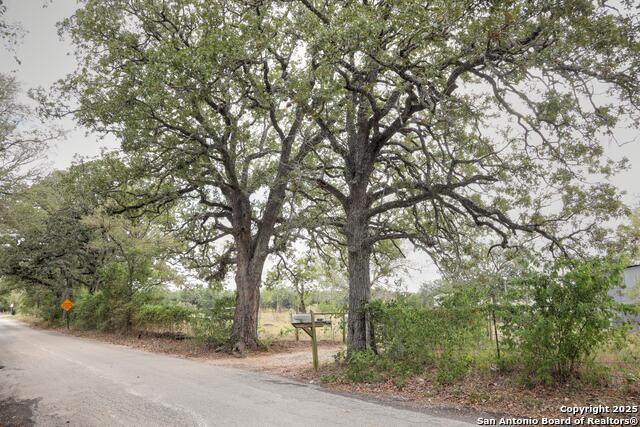 81 Sandy Creek Rd - Photo 1