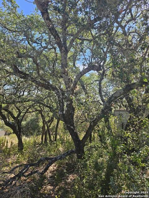 1437 Trailridge Dr - Photo 1