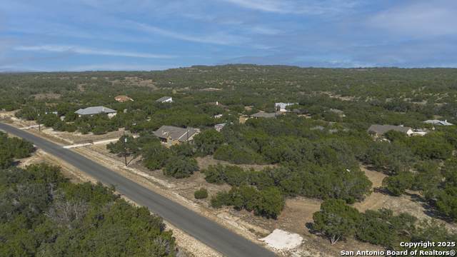 268 Lipizzan - Photo 1