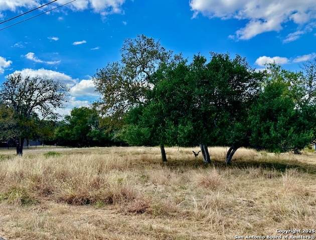 8423 Rochelle Rd - Photo 1