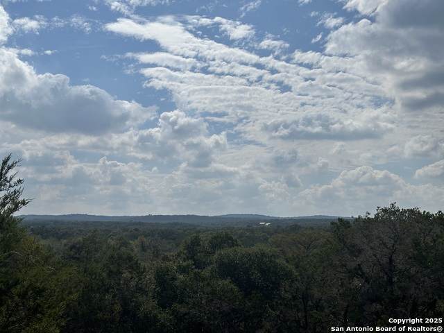 959 Serene Park - Photo 1