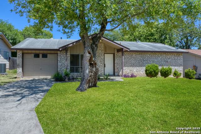 210 Lost Forest - Photo 1