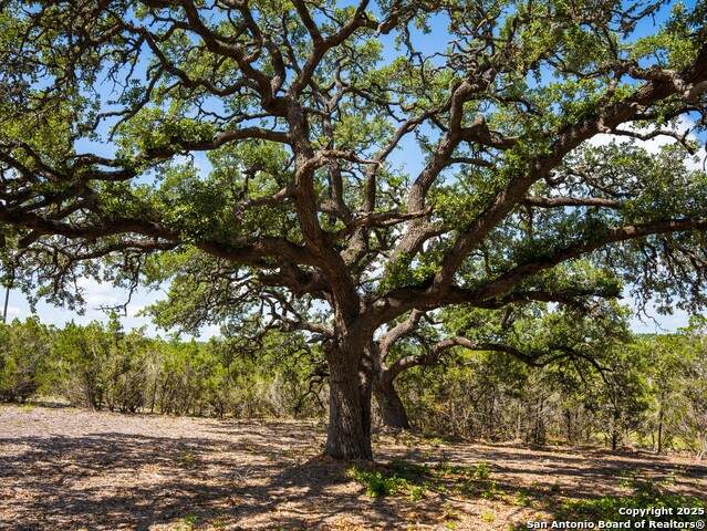 000 Heritage Creek Ranch - Photo 1