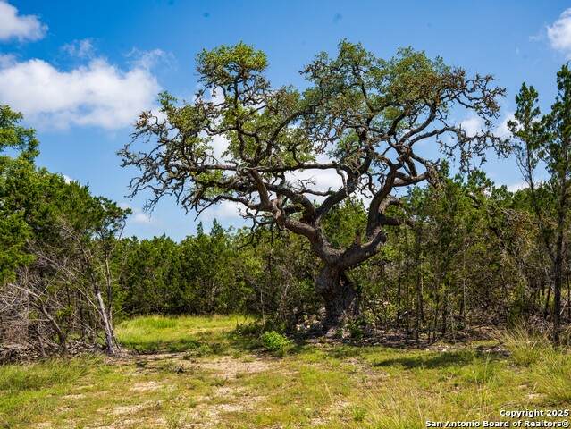 000 Oak Valley Ranch - Photo 1
