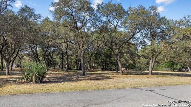 8455 Park Lane - Photo 1