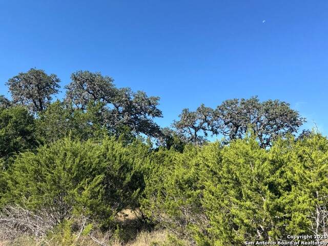 TBD Fm 2828 - Photo 1