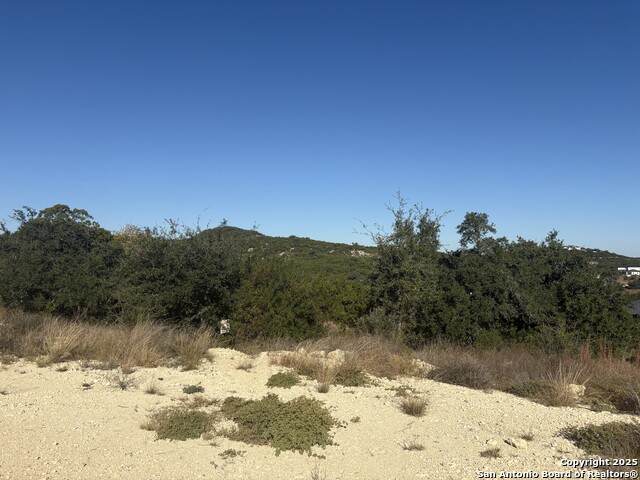 11303 Stiehler Hill - Photo 1