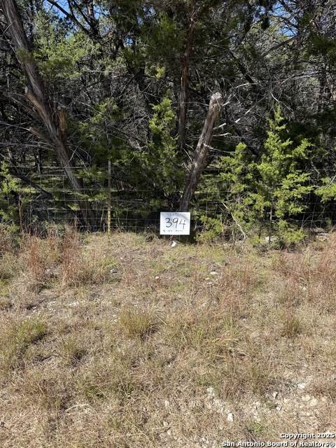 (LT)394 Forest Trail Drive - Photo 1