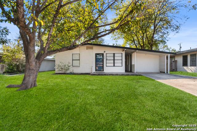 230 Dresden - Photo 1